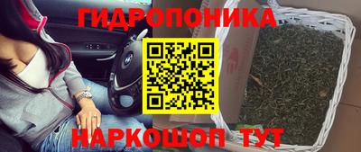 apvp Тара