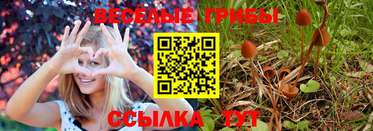 Псилоцибиновые грибы Magic Shrooms  Вход с VPN  купить наркоту  Галлюциногенные грибы Psilocybine cubensis  Ногинск 